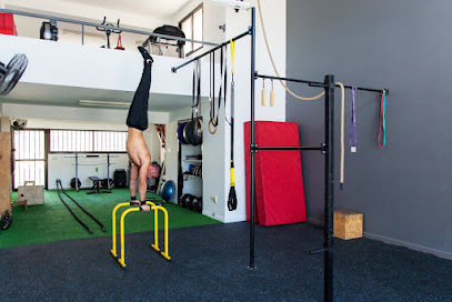 LOCAL MOVEMENT - LIMASSOL CALISTHENICS FACILITY