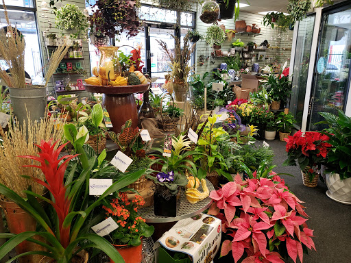Florist «Bonnie Brae Flowers Inc», reviews and photos, 5595 E Evans Ave, Denver, CO 80222, USA