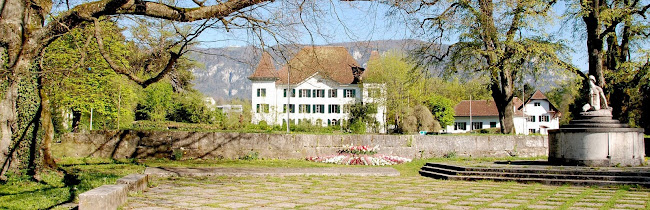 Rezensionen über A. Früh Immobilien Schweiz AG in Olten - Immobilienmakler