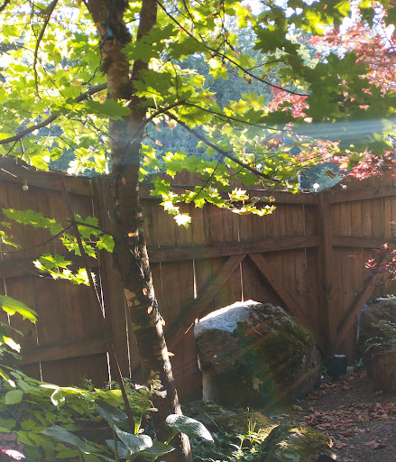 Bar & Grill «Skyway Bar & Grill», reviews and photos, 71545 US-26, Zigzag, OR 97049, USA