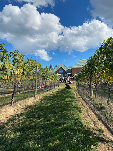 Vineyard «Duck Walk Vineyard», reviews and photos, 231 Montauk Hwy, Water Mill, NY 11976, USA