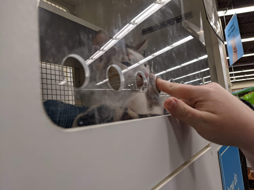 Pet Supply Store «Petco Animal Supplies», reviews and photos, 1310 Tingle Cir E b, Mobile, AL 36606, USA