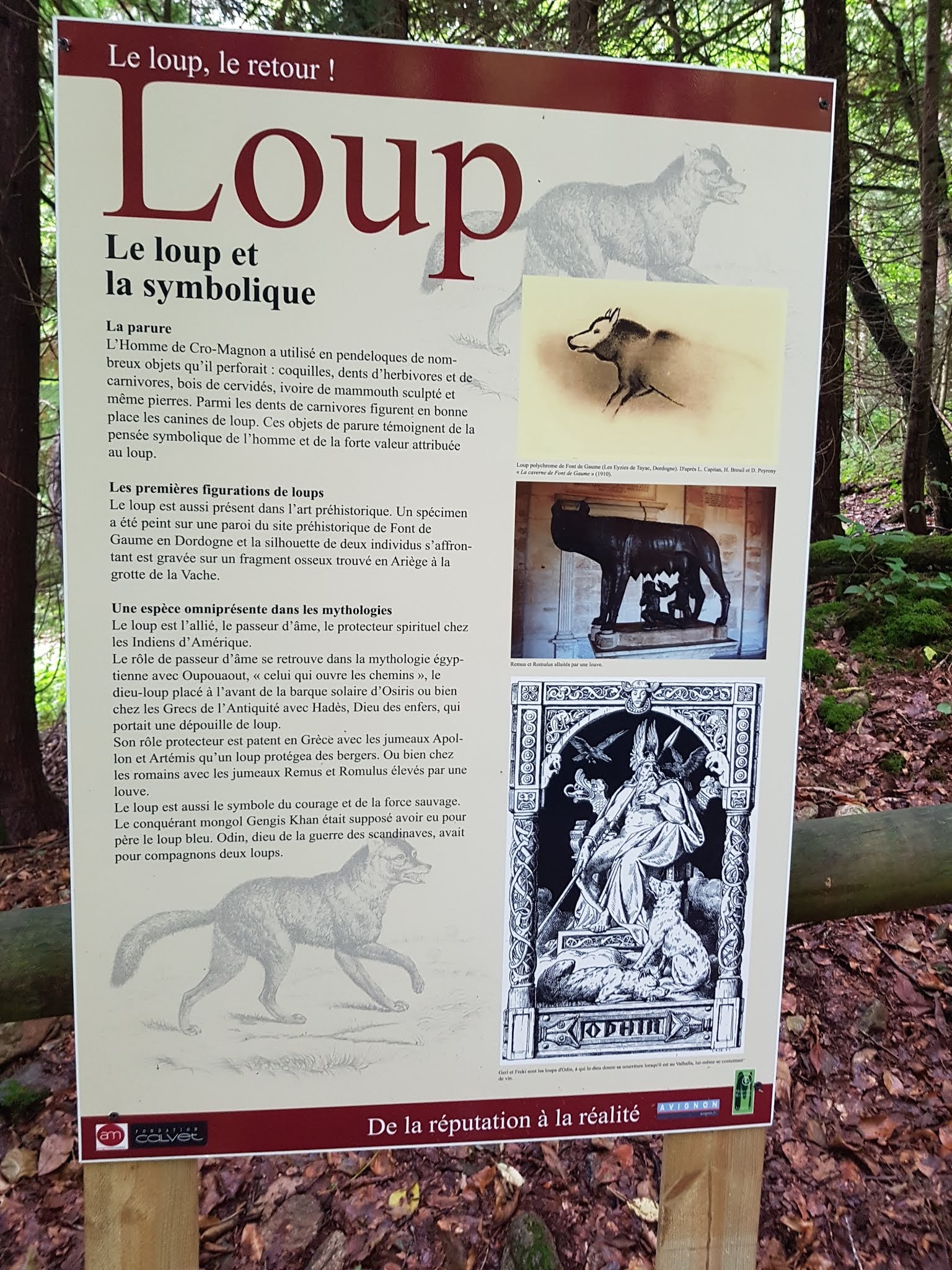 Photo n° 7 de l'avis de Eric.c fait le 26/09/2018 à 20:56