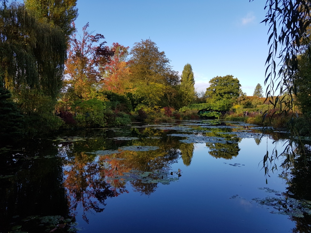 Photo n° 1 de l'avis de Henry.e fait le 24/10/2023 à 19:06