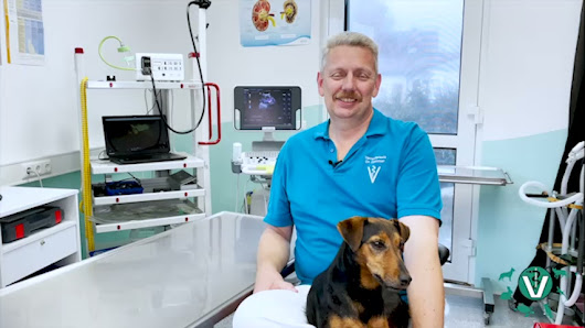 Tierarzt Dommer Welden, Tierarztpraxis Welden Straßfeld 4, 86465 Welden, Deutschland
