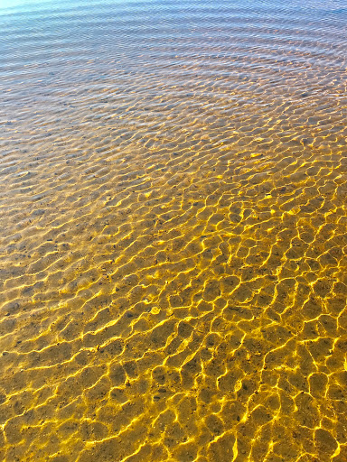 State Park «Hopkinton State Park», reviews and photos, 164 Cedar St, Hopkinton, MA 01748, USA