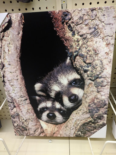 Craft Store «Hobby Lobby», reviews and photos, 1580 Wesel Blvd c, Hagerstown, MD 21740, USA