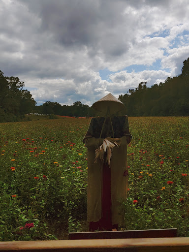 Tourist Attraction «Still Family Farm, LLC», reviews and photos, 5630 Macland Rd, Powder Springs, GA 30127, USA