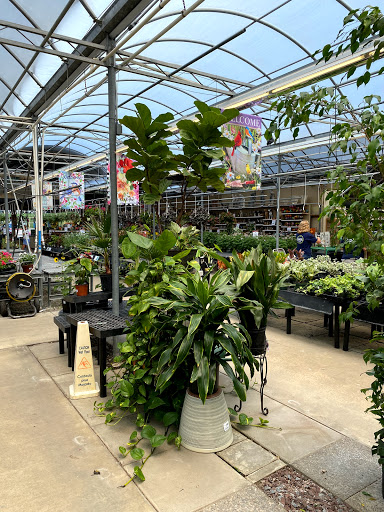 Garden Center «Stauffers of Kissel Hill Home & Garden Store», reviews and photos, 4450 Lincoln Hwy, York, PA 17406, USA