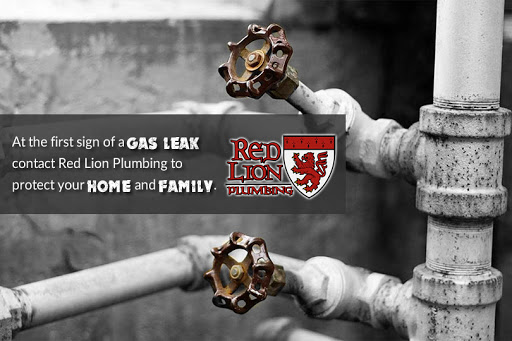 Plumber «Red Lion Plumbing», reviews and photos, 14631 Timbergreen Dr, Magnolia, TX 77355, USA