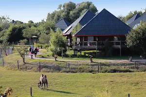 Cerza Safari Lodge image