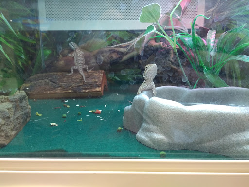 Pet Supply Store «PetSmart», reviews and photos, 9122 Mentor Ave, Mentor, OH 44060, USA