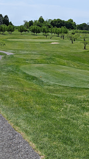 Golf Course «Apple Greens Golf Course», reviews and photos, 161 South St, Highland, NY 12528, USA