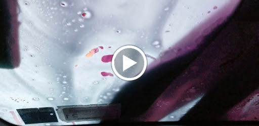 Car Wash «Woodbury Royal Car Wash», reviews and photos, 446 Woodbury Rd, Plainview, NY 11803, USA