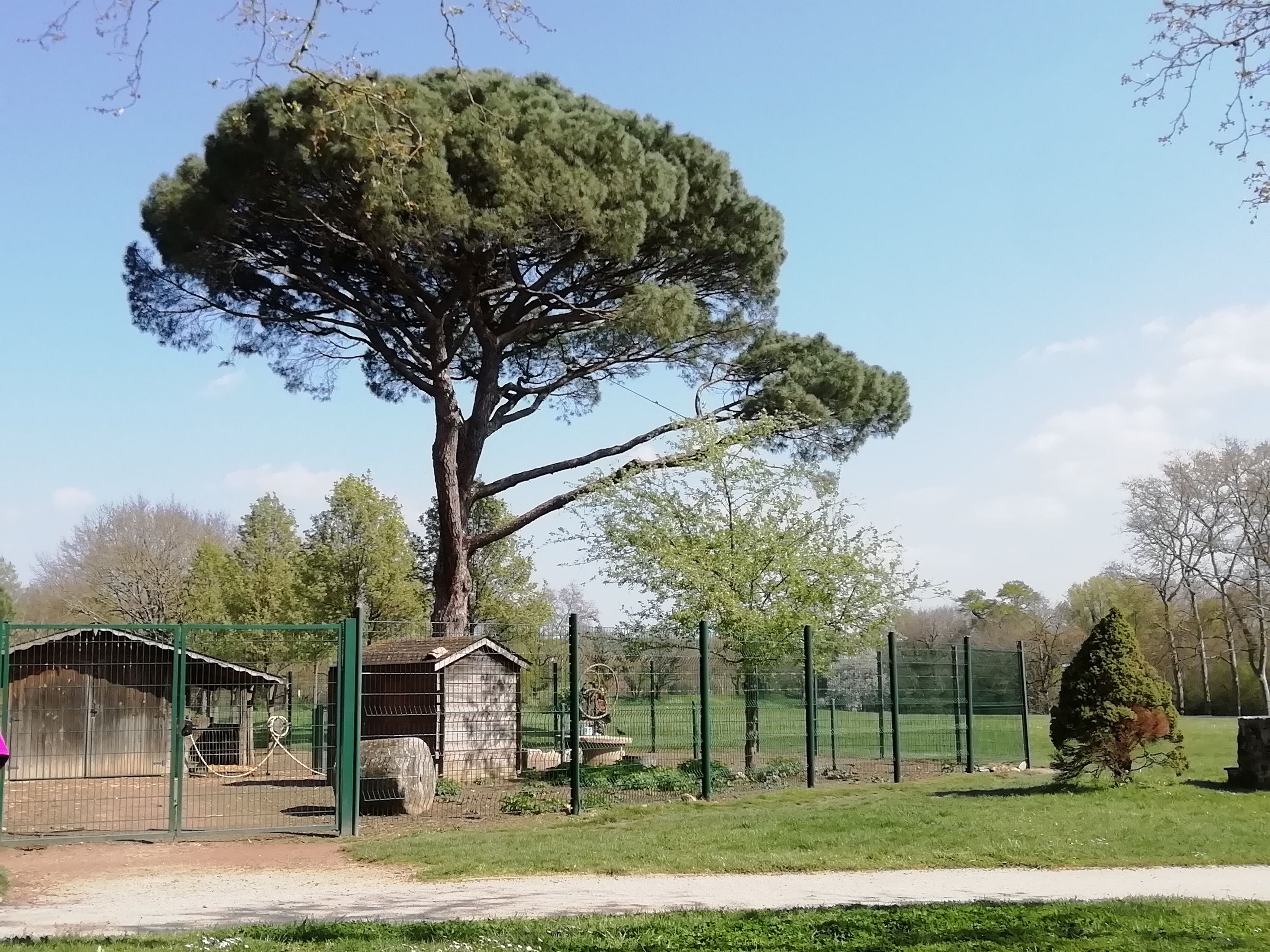 Photo n° 1 de l'avis de Patricia.e fait le 12/04/2019 à 15:15