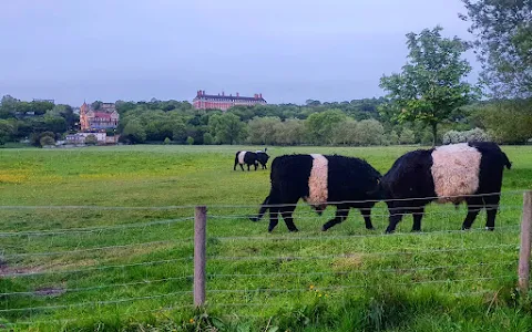 Petersham Meadows image