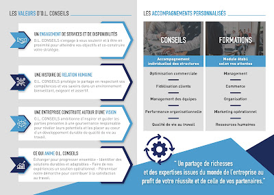 O.L. Conseils - E.I. Olivier LOUIS à Cognac