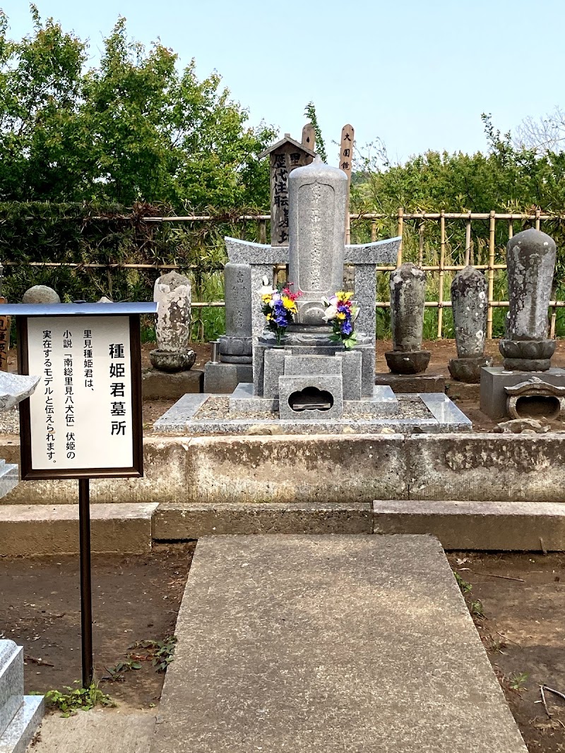 富士山 宝林寺 千葉県市原市朝生原 仏教寺院 神社 寺 グルコミ