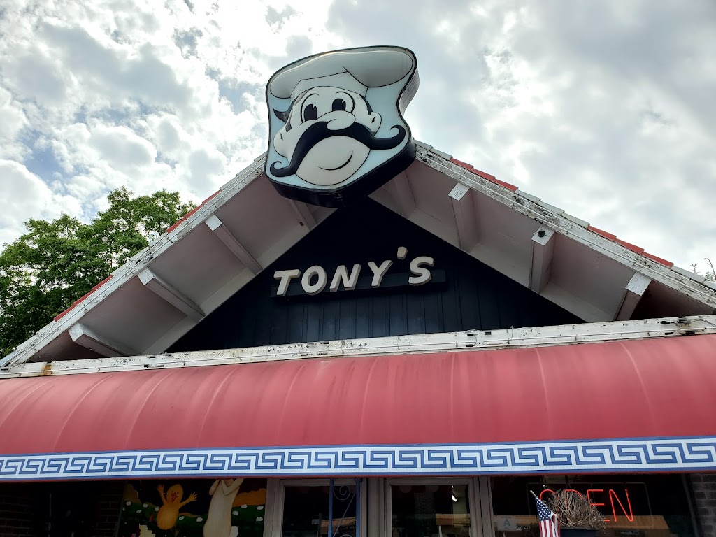 Tony's Pizzalicious 29033