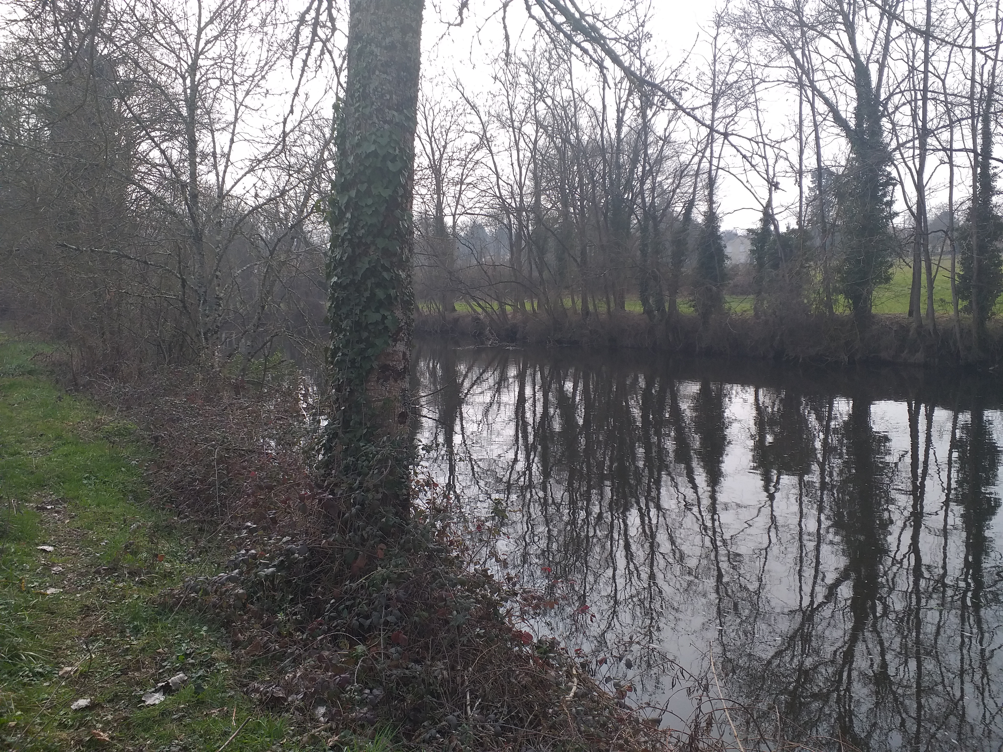 Photo n° 2 de l'avis de Thierry.e fait le 02/03/2023 à 16:05