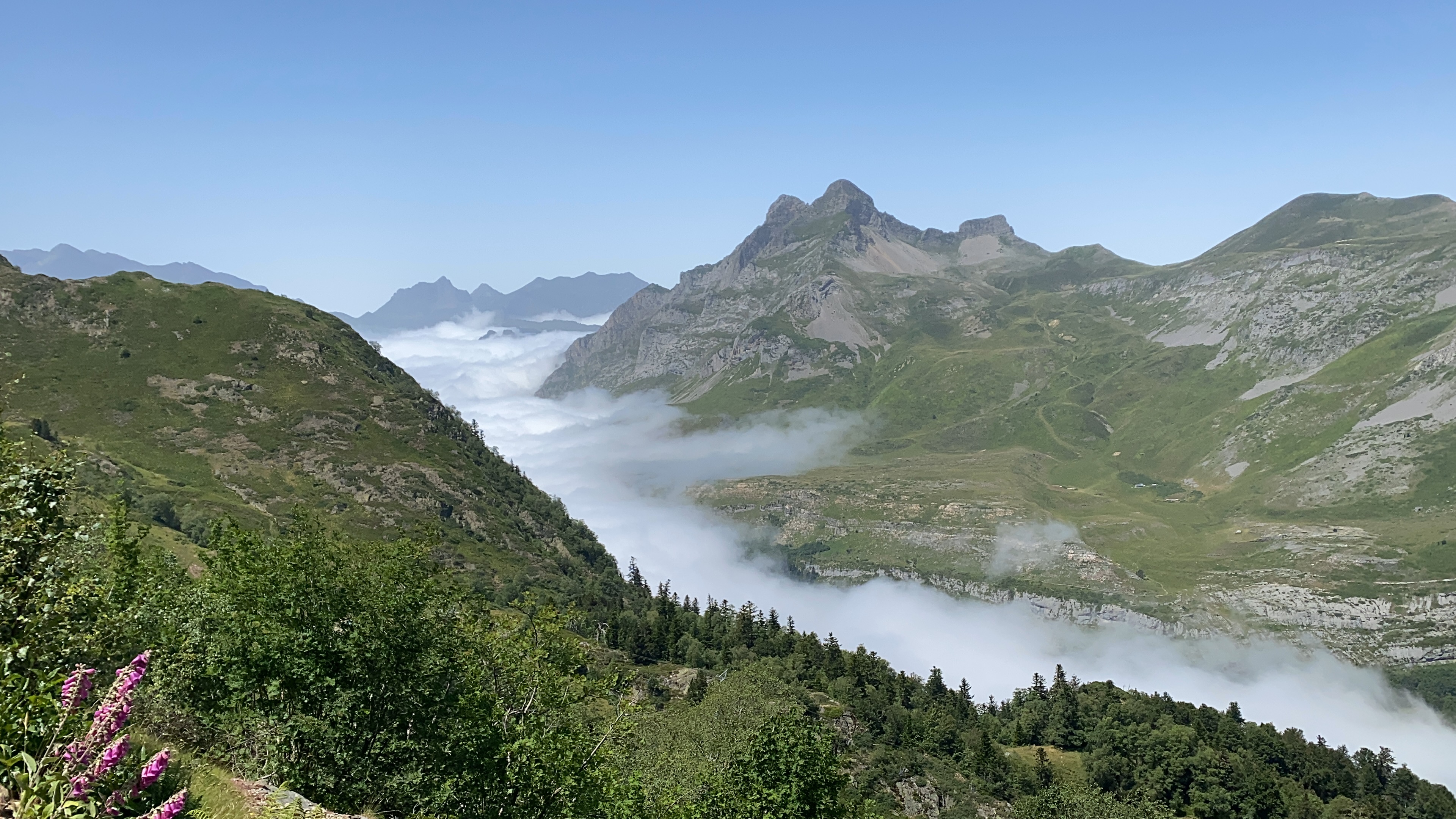 Photo n° 1 de l'avis de aymerick.a fait le 25/07/2023 à 15:09