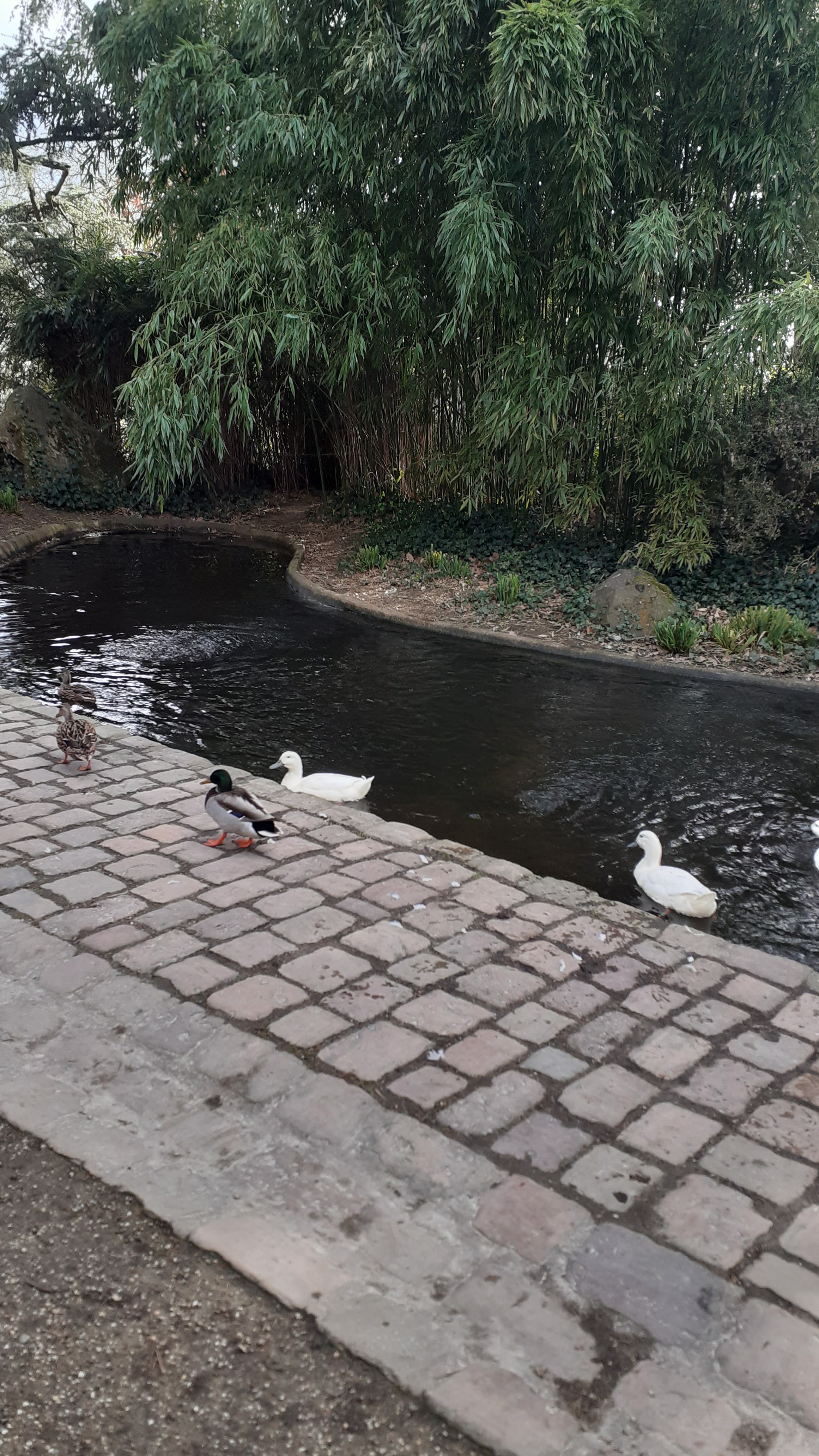 Photo n° 9 de l'avis de Aurélie.a fait le 22/02/2022 à 17:32