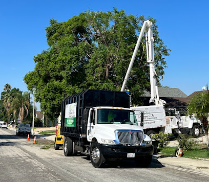 Ortega's Jr Tree Care