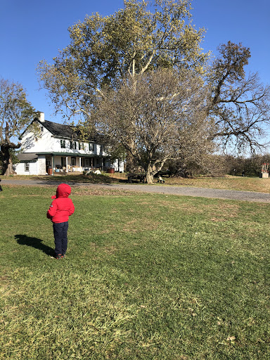 Produce Market «Solly Brothers», reviews and photos, 707 Almshouse Rd, Warminster, PA 18974, USA