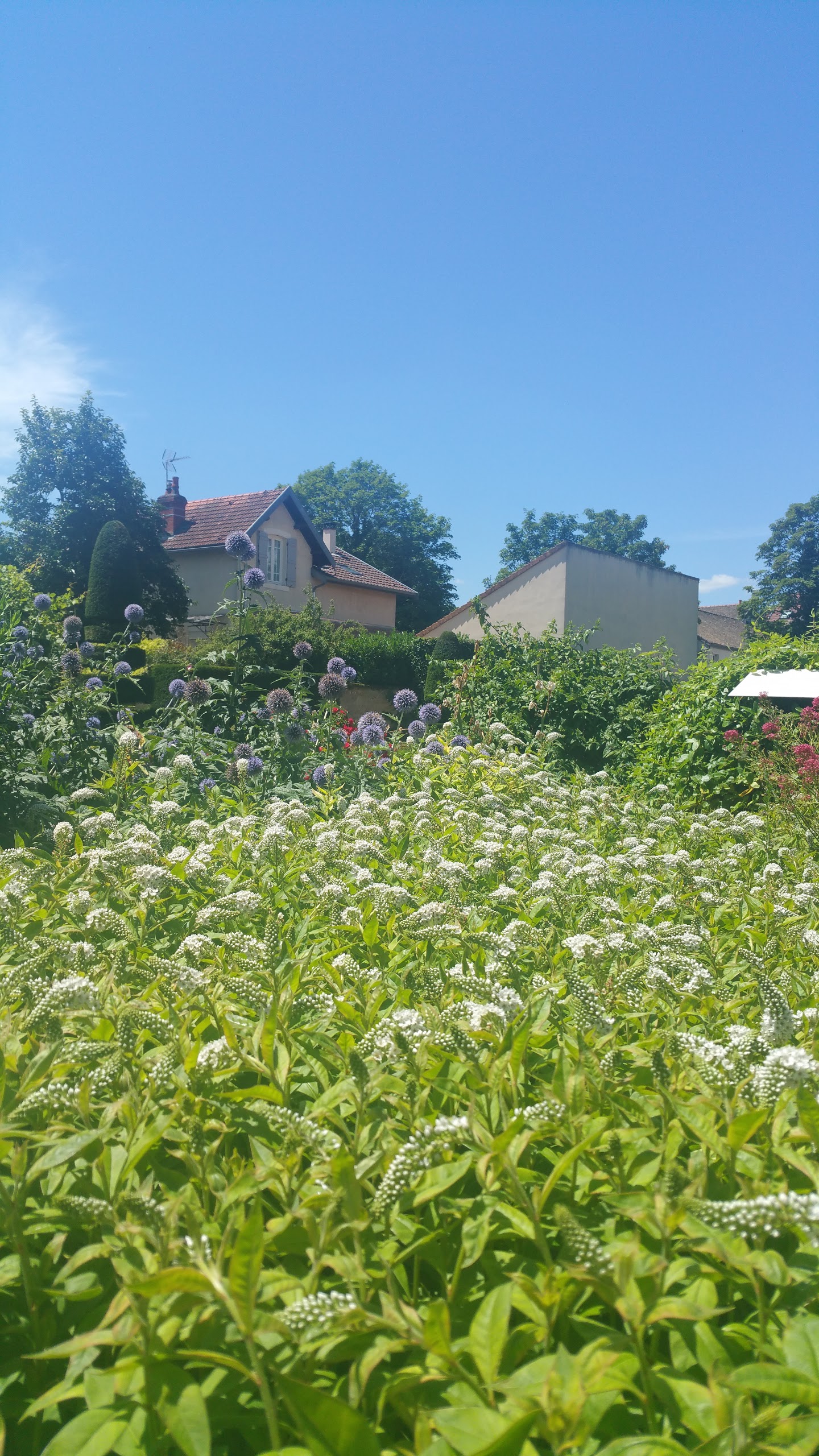 Photo n° 7 de l'avis de Alexis.o fait le 12/07/2017 à 09:17