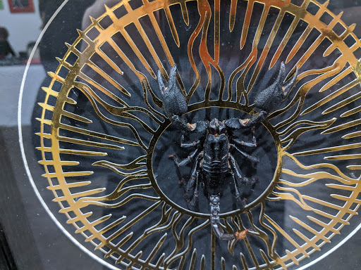 Video Game Store «Insomnia Gallery», reviews and photos, 724 W 19th St, Houston, TX 77008, USA