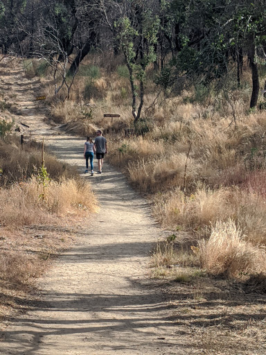 National Forest «Petrified Forest», reviews and photos