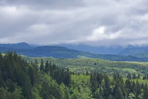 Clatsop State Forest image