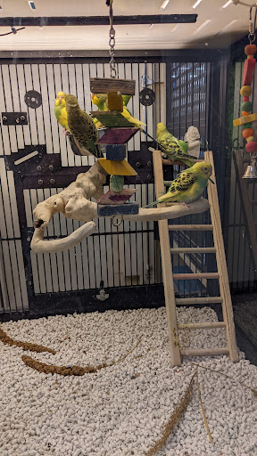 Pet Supply Store «PetSmart», reviews and photos, 128 Bailey Farm Rd, Monroe, NY 10950, USA