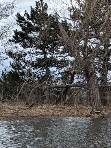 American Restaurant «Cracker Barrel Old Country Store», reviews and photos, 45525 N Interstate 94 Service Dr, Belleville, MI 48111, USA