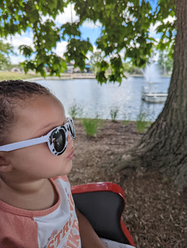 Zoo «Columbian Park Zoo», reviews and photos, 1915 Scott St, Lafayette, IN 47904, USA