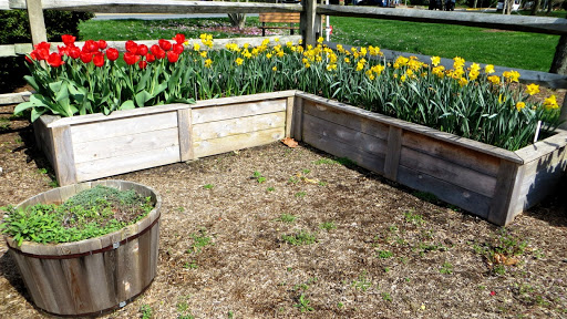 Park «Stango Park», reviews and photos, 114 E. Third Street, Lewes, DE 19958, USA