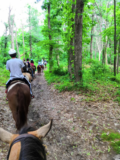 Tourist Attraction «C and L Stables», reviews and photos, 1095 Ives Rd, East Greenwich, RI 02818, USA