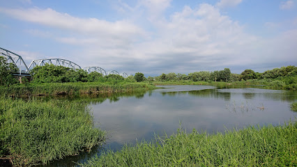 大树湿地公园