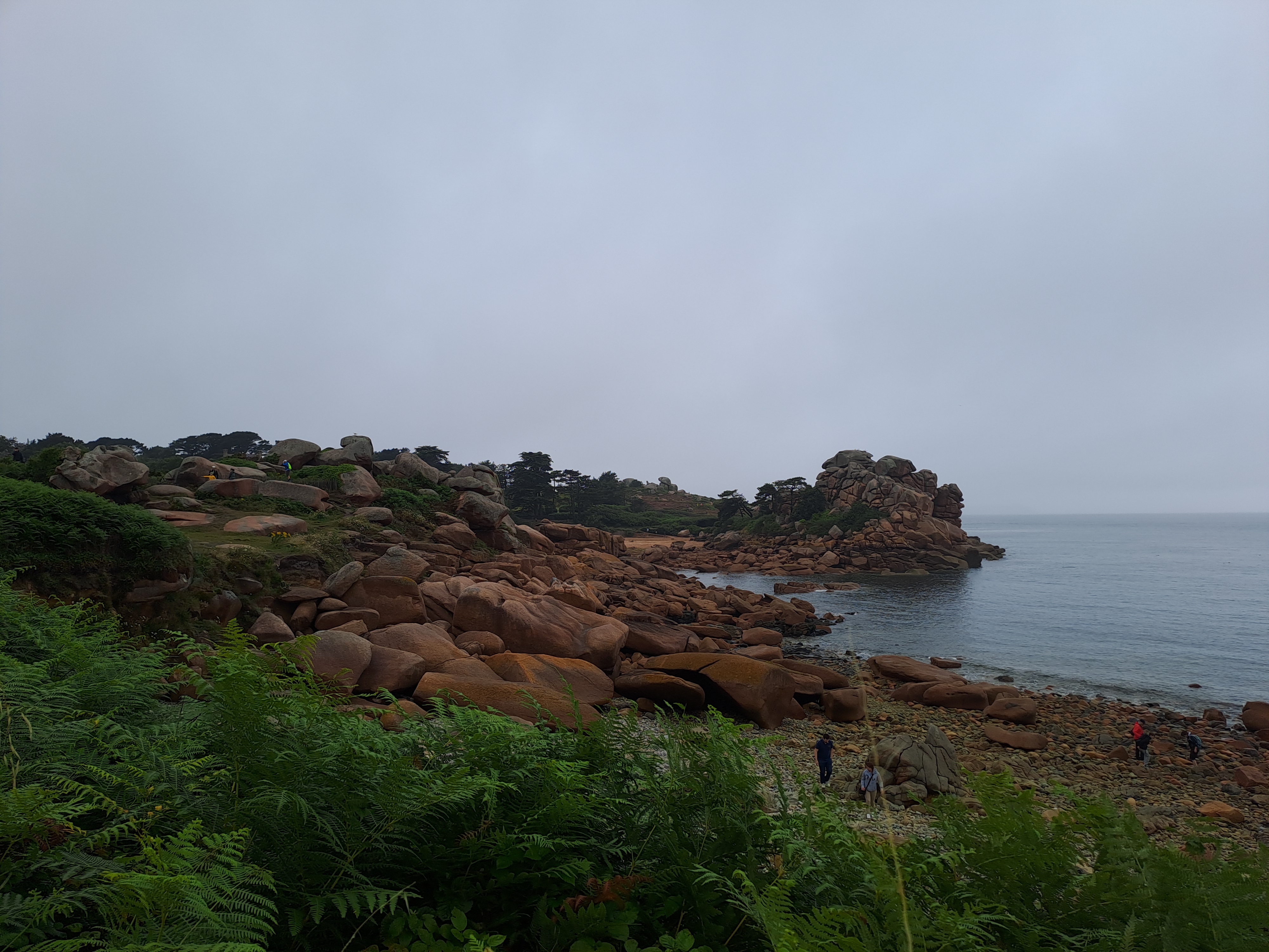 Photo n° 2 de l'avis de V.E fait le 24/07/2023 à 17:49