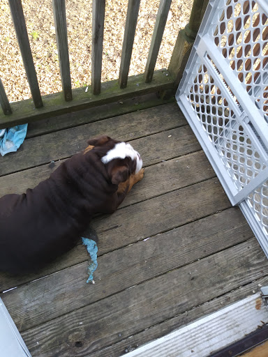 Park «Vailsburg Park», reviews and photos, 694-736 S Orange Ave, Newark, NJ 07106, USA