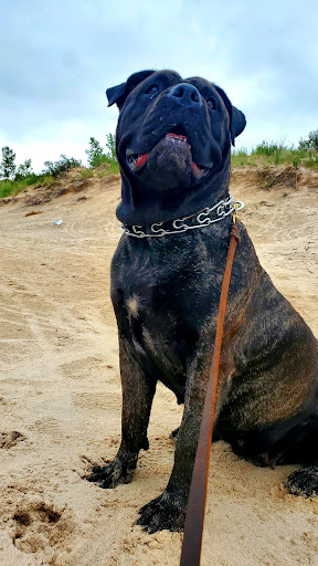 Lighthouse «Little Sable Point Lighthouse», reviews and photos
