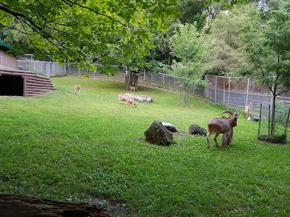 High Park Zoo