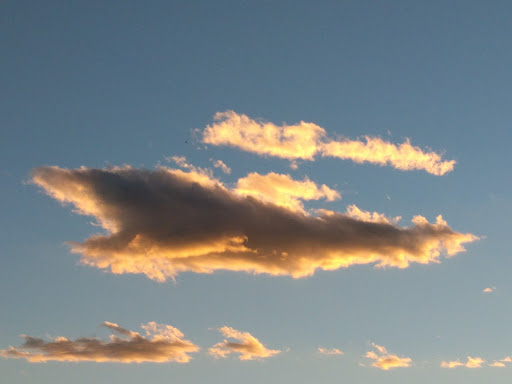 Grocery Store «King Soopers», reviews and photos, 13700 Colorado Blvd, Thornton, CO 80602, USA