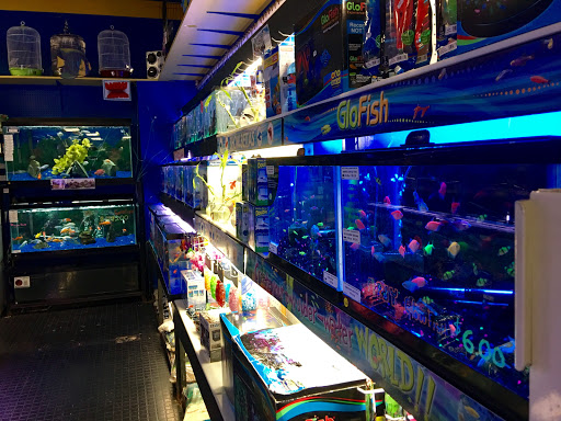 Pet Store «Petland Discounts - Paterson», reviews and photos, 128 Main St, Paterson, NJ 07505, USA