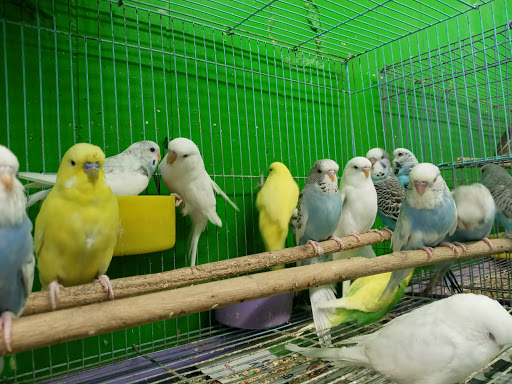 Pet Store «Inez Pet Shop», reviews and photos, 3825 Whittier Blvd, Los Angeles, CA 90023, USA