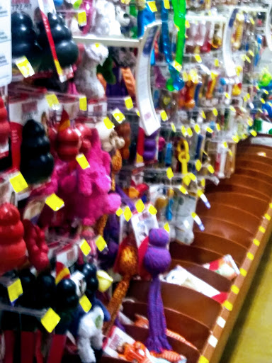 Pet Supply Store «PetSmart», reviews and photos, 7765 Airport Blvd #901, Mobile, AL 36608, USA