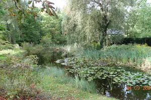 Ogród Botaniczny UKW image