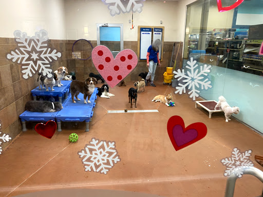 Pet Supply Store «PetSmart», reviews and photos, 2865 Oak Valley Dr, Ann Arbor, MI 48103, USA