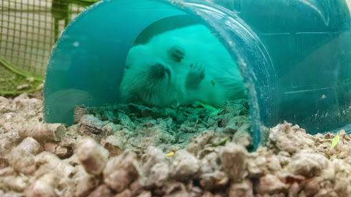 Pet Supply Store «Petco Animal Supplies», reviews and photos, 200 McMahan Blvd, Marion, OH 43302, USA