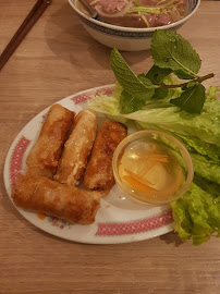 Rouleau de printemps du Restaurant vietnamien Le Viet-nam à Avignon - n°8